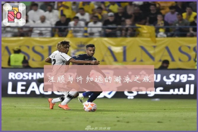 汪顺与许知远的游泳之旅