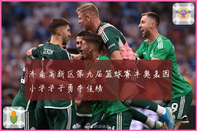 济南高新区第九届篮球赛丰奥嘉园小学学子勇夺佳绩