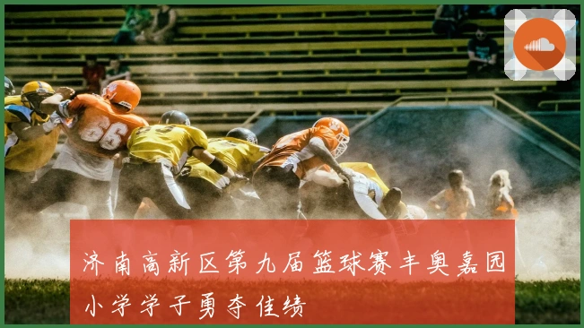 济南高新区第九届篮球赛丰奥嘉园小学学子勇夺佳绩